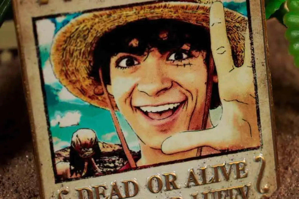 ONE PIECE - WANTED POSTER - LIMITED EDITION INGOT FANATTIK
