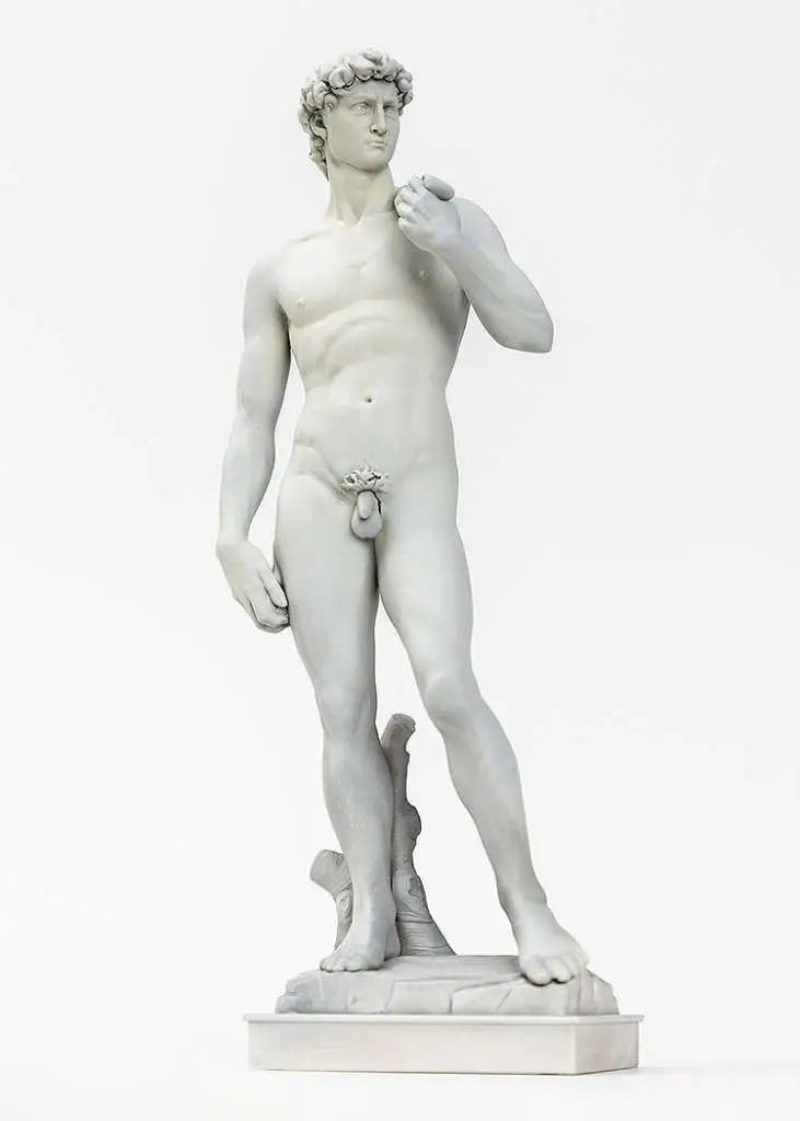 MICHELANGELO DAVID PLASTIC MODEL KIT SYUTO SEIKO