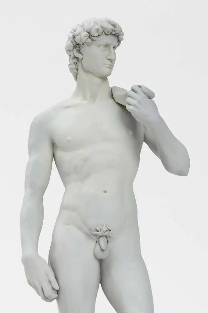 MICHELANGELO DAVID PLASTIC MODEL KIT SYUTO SEIKO