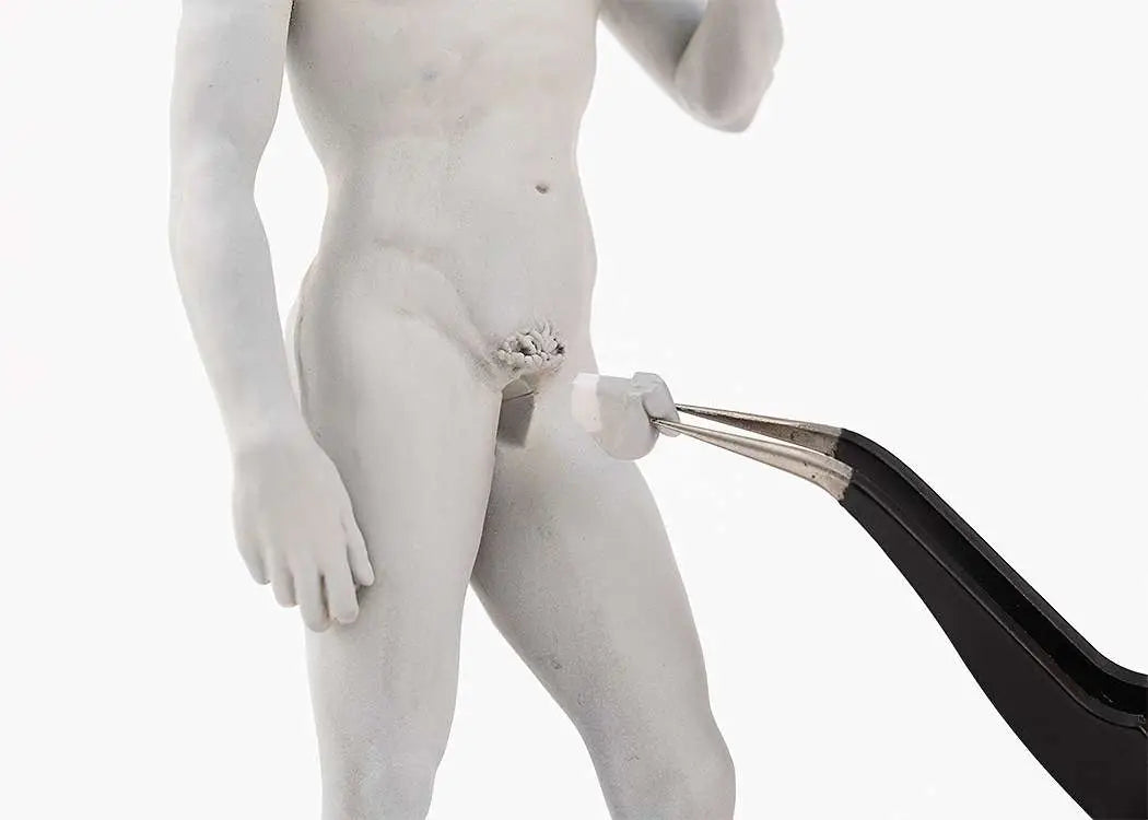 MICHELANGELO DAVID PLASTIC MODEL KIT SYUTO SEIKO