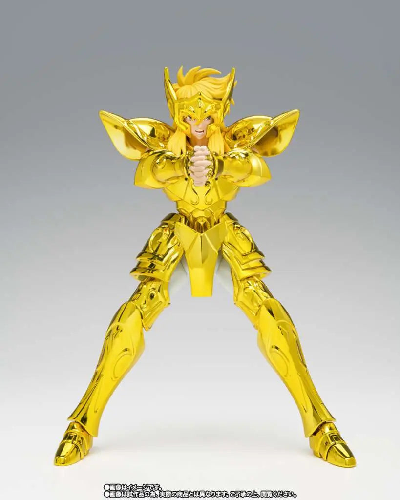 SAINT CLOTH MYTH EX AQUARIUS HYOGA INHERITOR OF THE GOLD CLOTH BANDAI