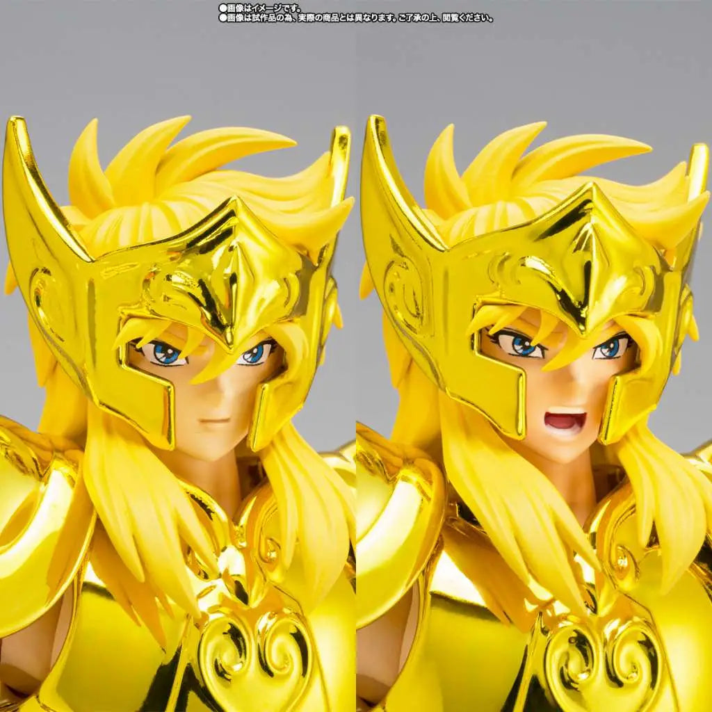 SAINT CLOTH MYTH EX AQUARIUS HYOGA INHERITOR OF THE GOLD CLOTH BANDAI