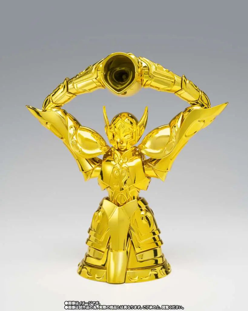SAINT CLOTH MYTH EX AQUARIUS HYOGA INHERITOR OF THE GOLD CLOTH BANDAI
