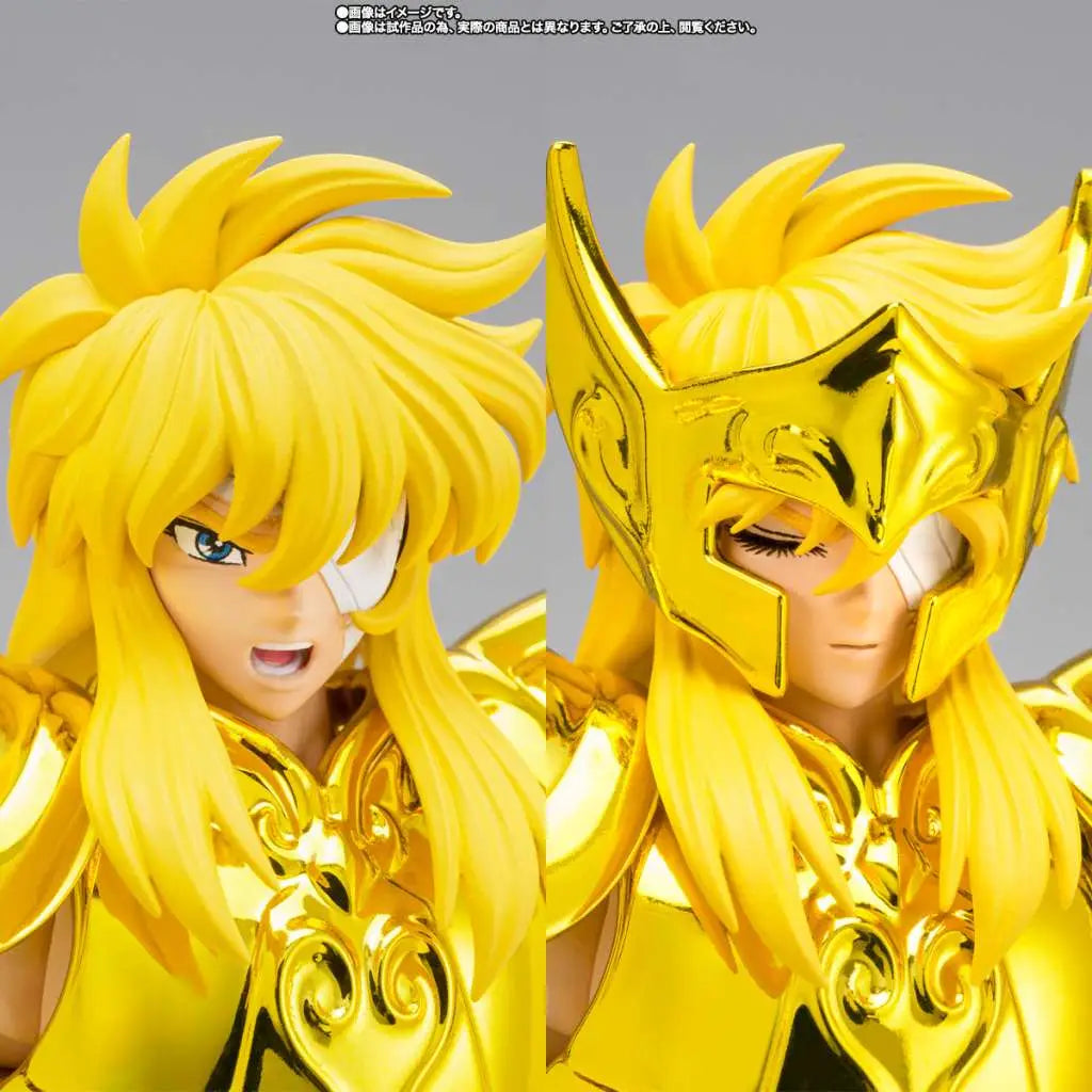 SAINT CLOTH MYTH EX AQUARIUS HYOGA INHERITOR OF THE GOLD CLOTH BANDAI