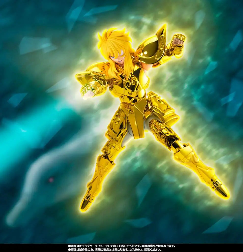 SAINT CLOTH MYTH EX AQUARIUS HYOGA INHERITOR OF THE GOLD CLOTH BANDAI