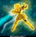 SAINT CLOTH MYTH EX AQUARIUS HYOGA INHERITOR OF THE GOLD CLOTH BANDAI