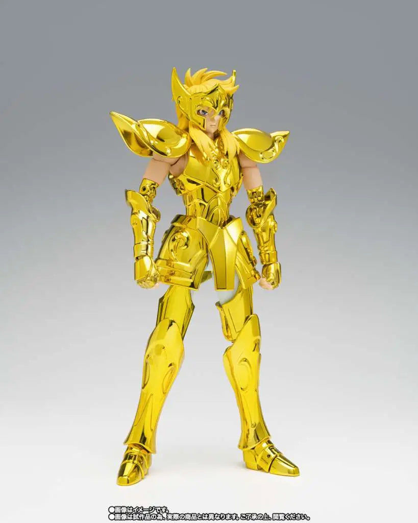 SAINT CLOTH MYTH EX AQUARIUS HYOGA INHERITOR OF THE GOLD CLOTH BANDAI