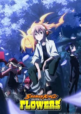 SHAMAN KING 1000 PCS PUZZLE MICROIDS