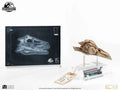 JURASSIC PARK 3 VELOCIRAPTOR RESONATING CHAMBER PROP REPLICA ELITE CREATURE COLLECTIBLES