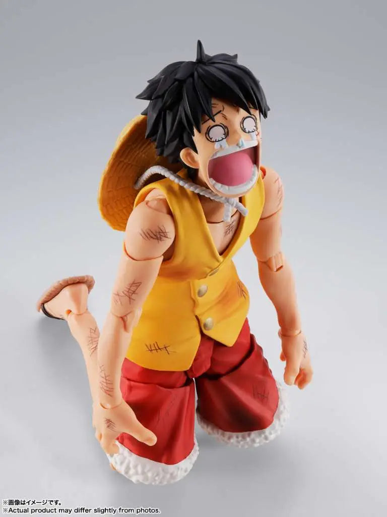 ONE PIECE MONKEY D.LUFFY MARINEFORD S.H.Figuarts BANDAI