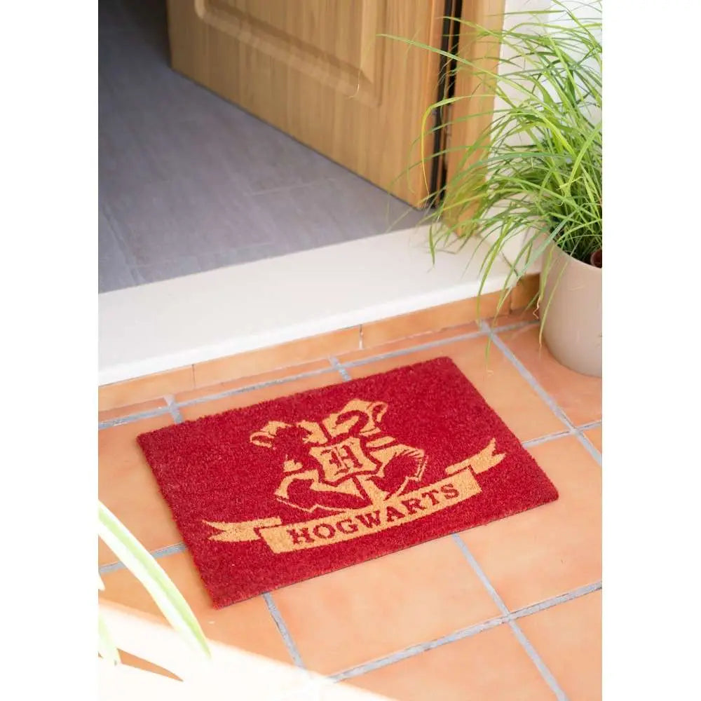 HARRY POTTER PLATFORM 9 3/4 DOORMAT GRUPO ERIK