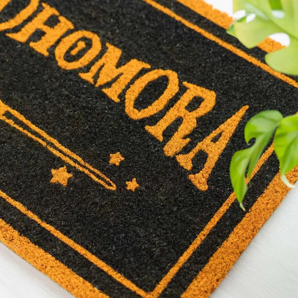 HARRY POTTER ALOHOMORA DOORMAT GRUPO ERIK