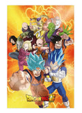DRAGON BALL SUPER UNIVERSE SURVIVAL HEROES 38X58CM 3D POSTER SD TOYS