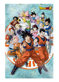 DRAGON BALL SUPER UNIVERSE SURVIVAL 38X48 3D POSTER SD TOYS
