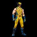 MARVEL LEGENDS DEADPOOL AND WOLVERINE WOLVERINE SLEEVELESS ACTION FIGURE HASBRO