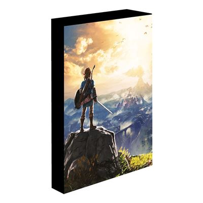 THE LEGEND OF ZELDA INTO THE WILDS LIGHT UP CANVAS PYRAMID INTERNATIONAL