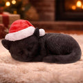 BLACK CAT SLEEPING WITH SANTA HAT FIGURE NEMESIS NOW