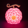 ONE PIECE NETFLIX FLOWER FLOWER FRUIT LAMP GRUPO ERIK