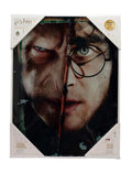 HP HALF FACE HARRY&VOLDEMORT GLASS POSTE SD TOYS