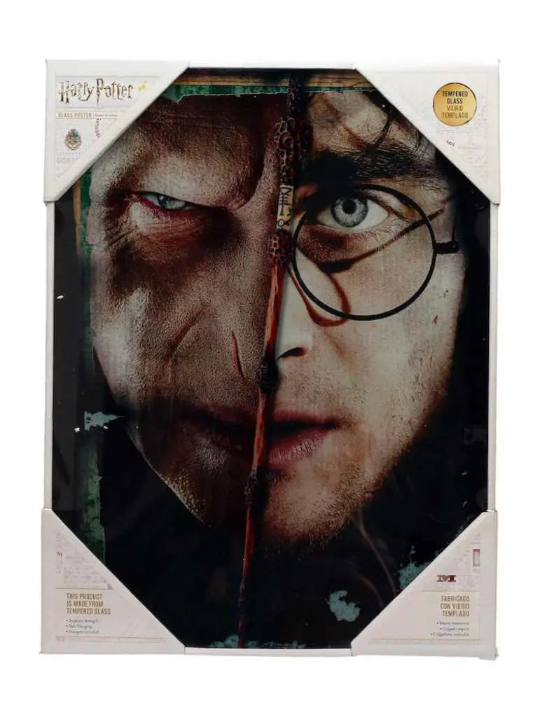 HP HALF FACE HARRY&VOLDEMORT GLASS POSTE SD TOYS