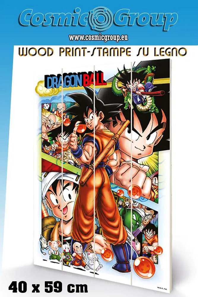 DRAGON BALL COMIC STRIP WOOD PRINT PYRAMID INTERNATIONAL