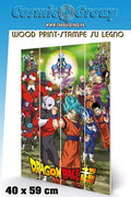 DRAGON BALL TOURNAMENT WOOD PRINT PYRAMID INTERNATIONAL