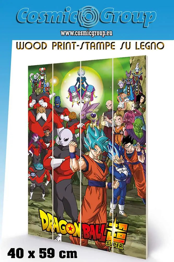 DRAGON BALL TOURNAMENT WOOD PRINT PYRAMID INTERNATIONAL