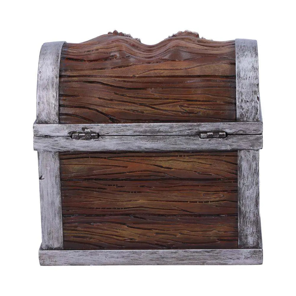 DUNGEONS & DRAGONS MIMIC DICE BOX NEMESIS NOW
