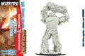 PATHFINDER DCUM EARTH ELEMENTAL LORD WIZKIDS