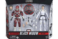ML RED GUARDIAN & MELINA VOSTKOFF AF HASBRO
