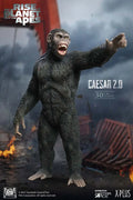 RISE OF POTA CAESAR 2.0 REGULAR STATUE STAR ACE