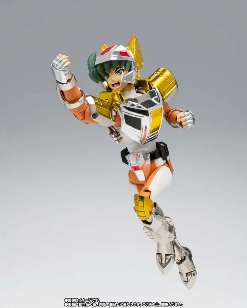 STEEL SAINT LANDCLOTH DAICHI REVIVAL BANDAI
