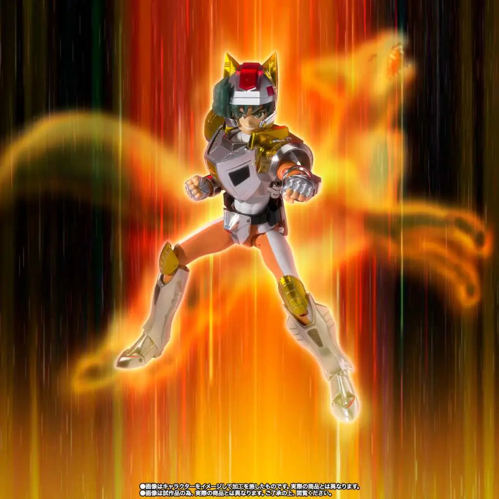 STEEL SAINT LANDCLOTH DAICHI REVIVAL BANDAI