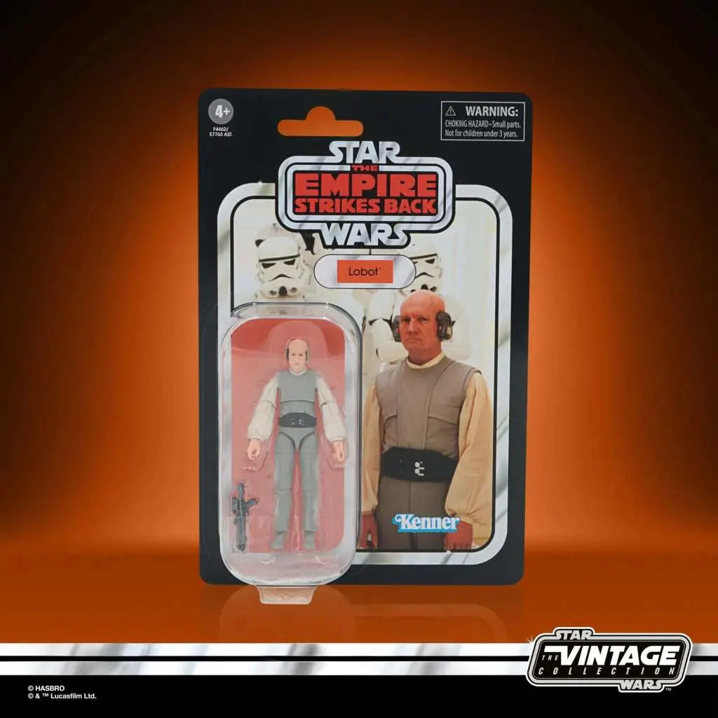 SW VINTAGE LOBOT AF HASBRO
