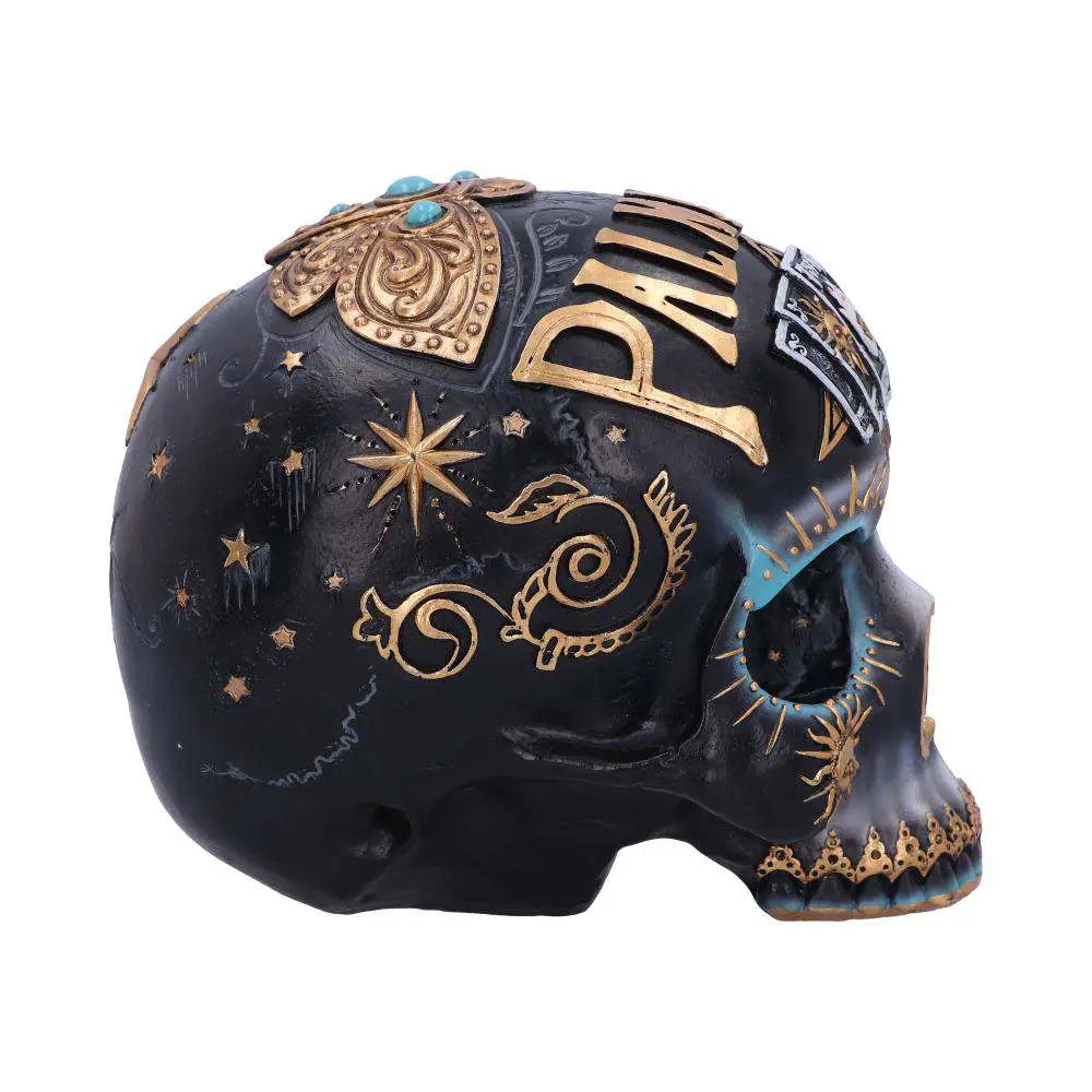 DESTINY PALMISTRY SKULL NEMESIS NOW