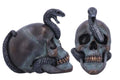 SERPENTINE FATE GOTHIC SNAKE SKULL NEMESIS NOW