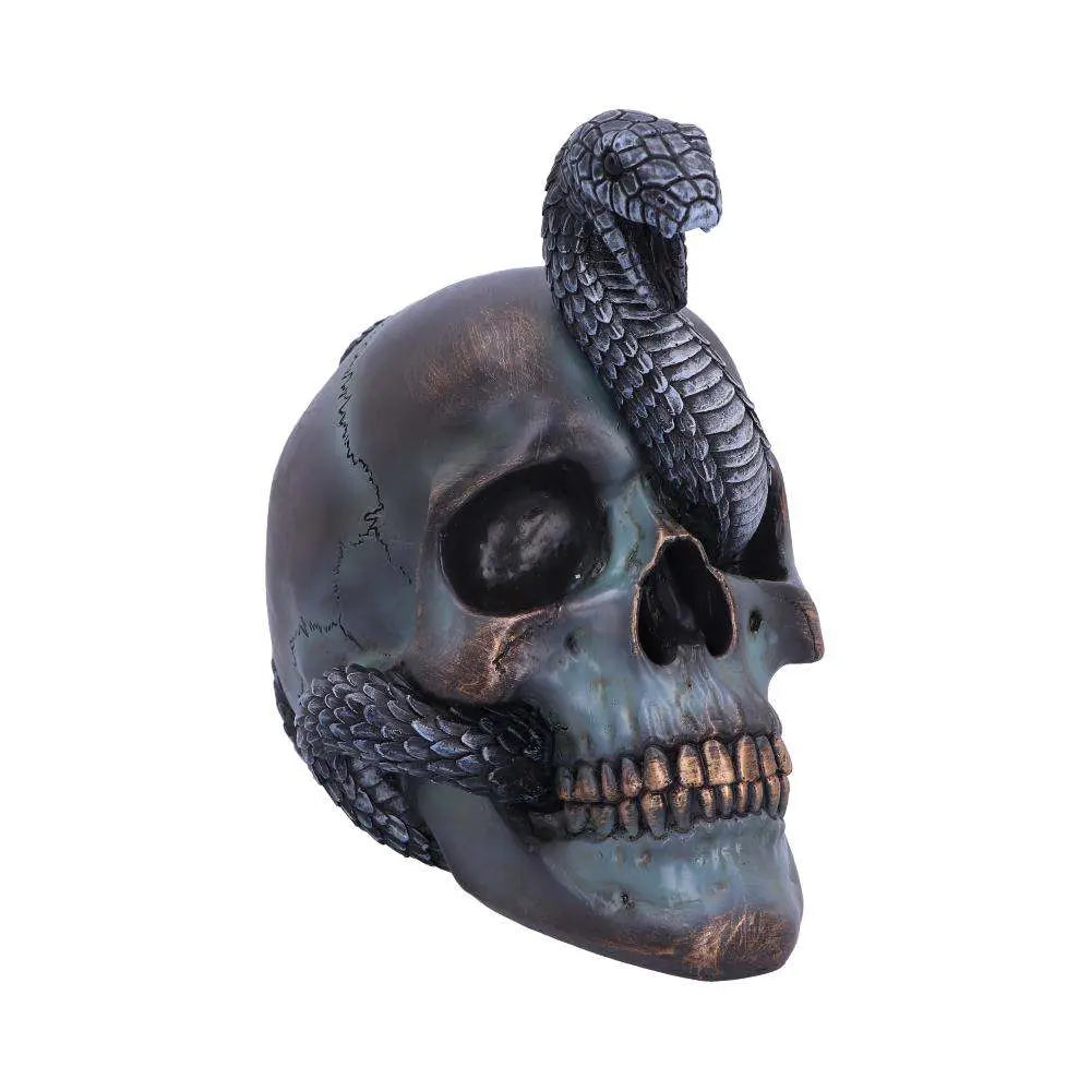 SERPENTINE FATE GOTHIC SNAKE SKULL NEMESIS NOW