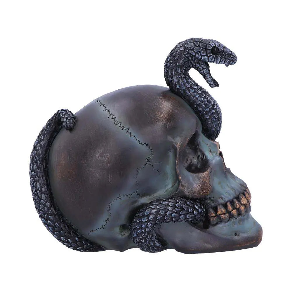 SERPENTINE FATE GOTHIC SNAKE SKULL NEMESIS NOW