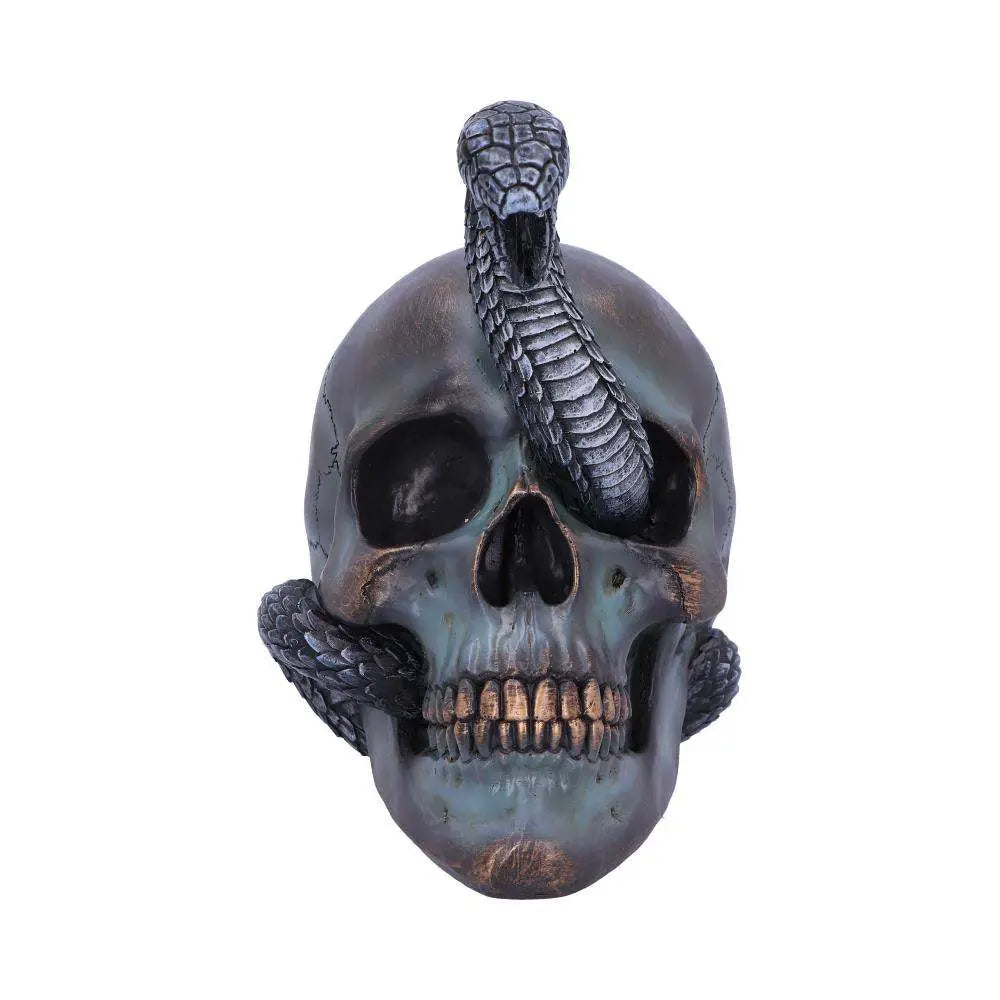 SERPENTINE FATE GOTHIC SNAKE SKULL NEMESIS NOW