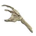 UM FOSSIL CREATURE HAND SCALED PROP REPL FACTORY ENT