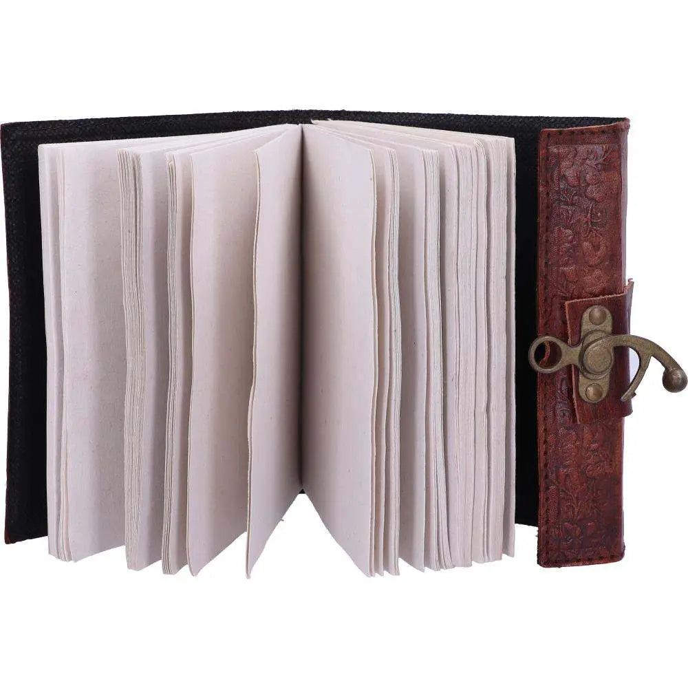 LEATHER DIARY EMBOSSED PENT/BROOM & LOCK NEMESIS NOW