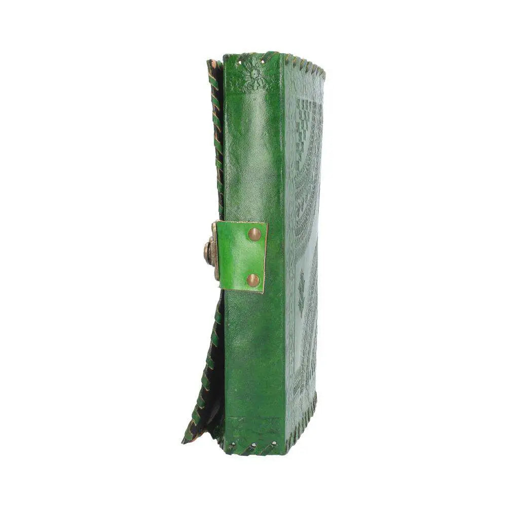 LEATHER DIARY EMBOSS GREENMAN & TWO LOCK NEMESIS NOW