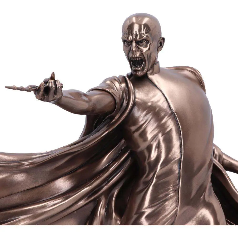 HARRY POTTER VOLDEMORT AVADA KEDAVRA NEMESIS NOW