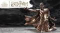 HARRY POTTER VOLDEMORT AVADA KEDAVRA NEMESIS NOW