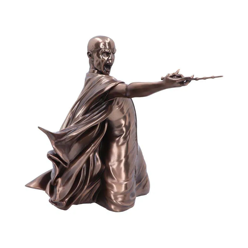 HARRY POTTER VOLDEMORT AVADA KEDAVRA NEMESIS NOW