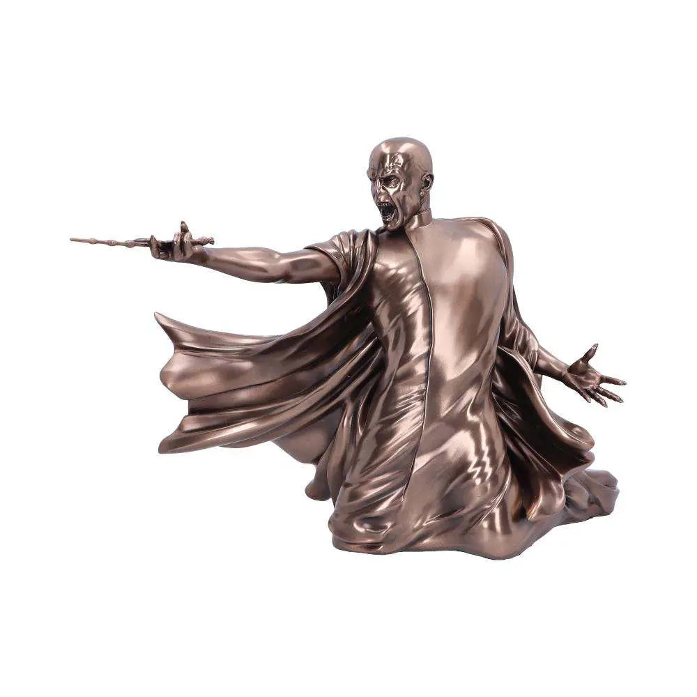 HARRY POTTER VOLDEMORT AVADA KEDAVRA NEMESIS NOW
