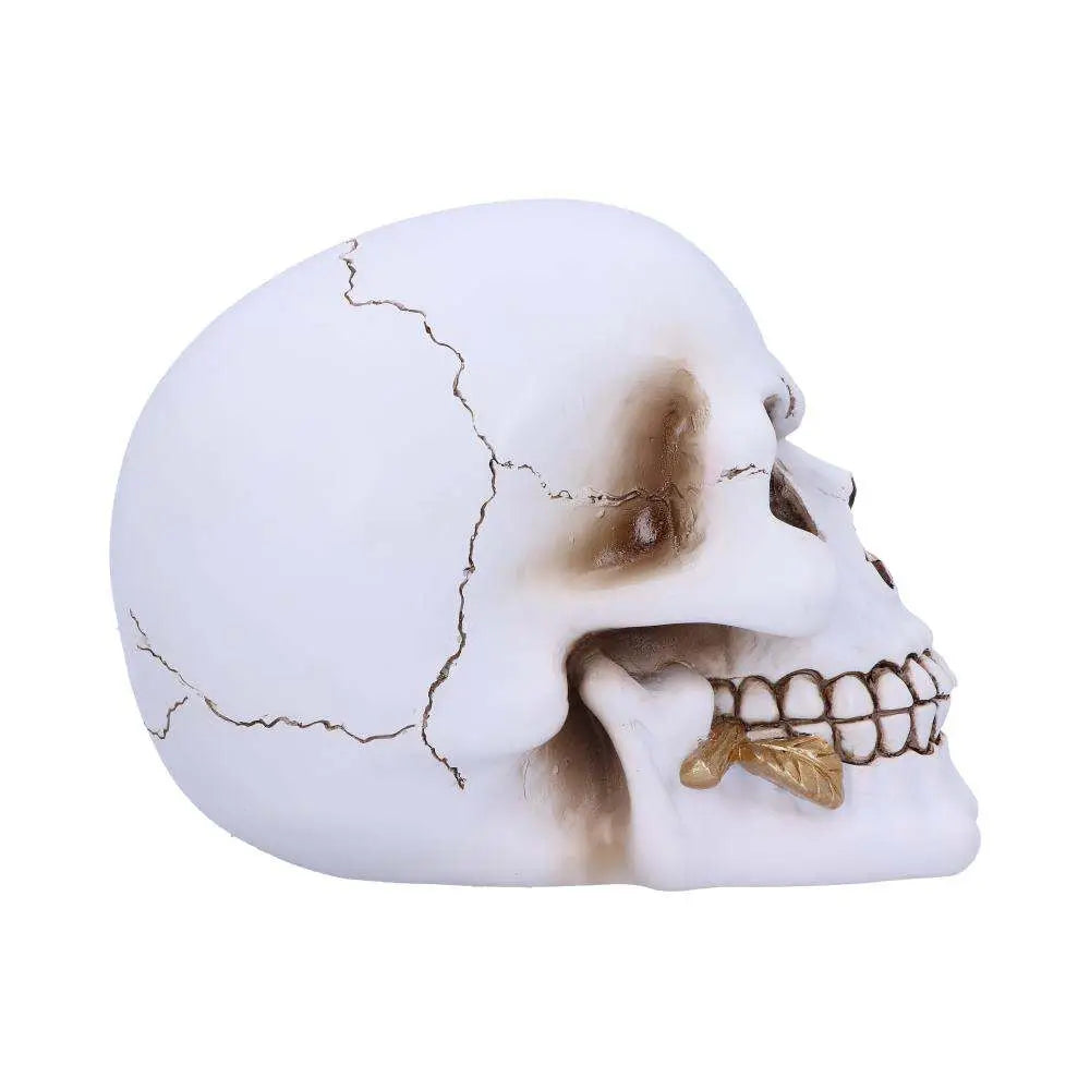 SKULL GOTHIC FLORAL FATE GOLDEN ROSE NEMESIS NOW
