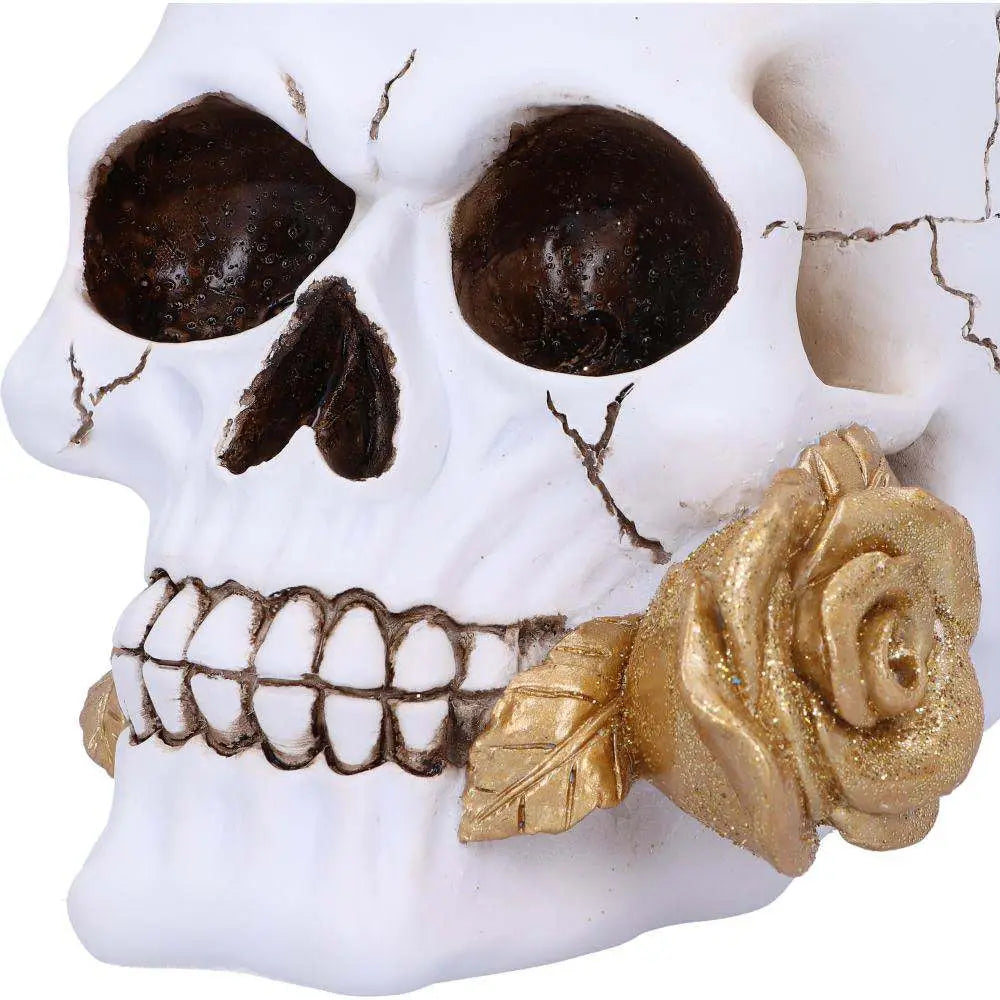 SKULL GOTHIC FLORAL FATE GOLDEN ROSE NEMESIS NOW