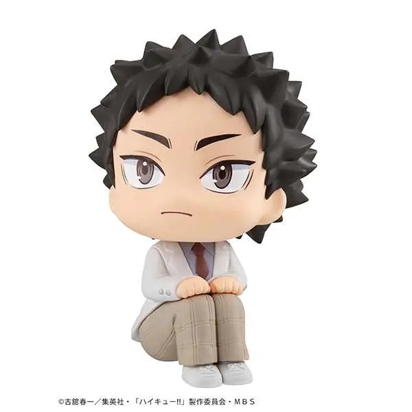 LOOKUP HAIKYU IWAIZUMI MEGAHOUSE