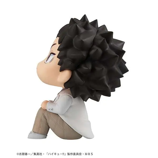 LOOKUP HAIKYU IWAIZUMI MEGAHOUSE